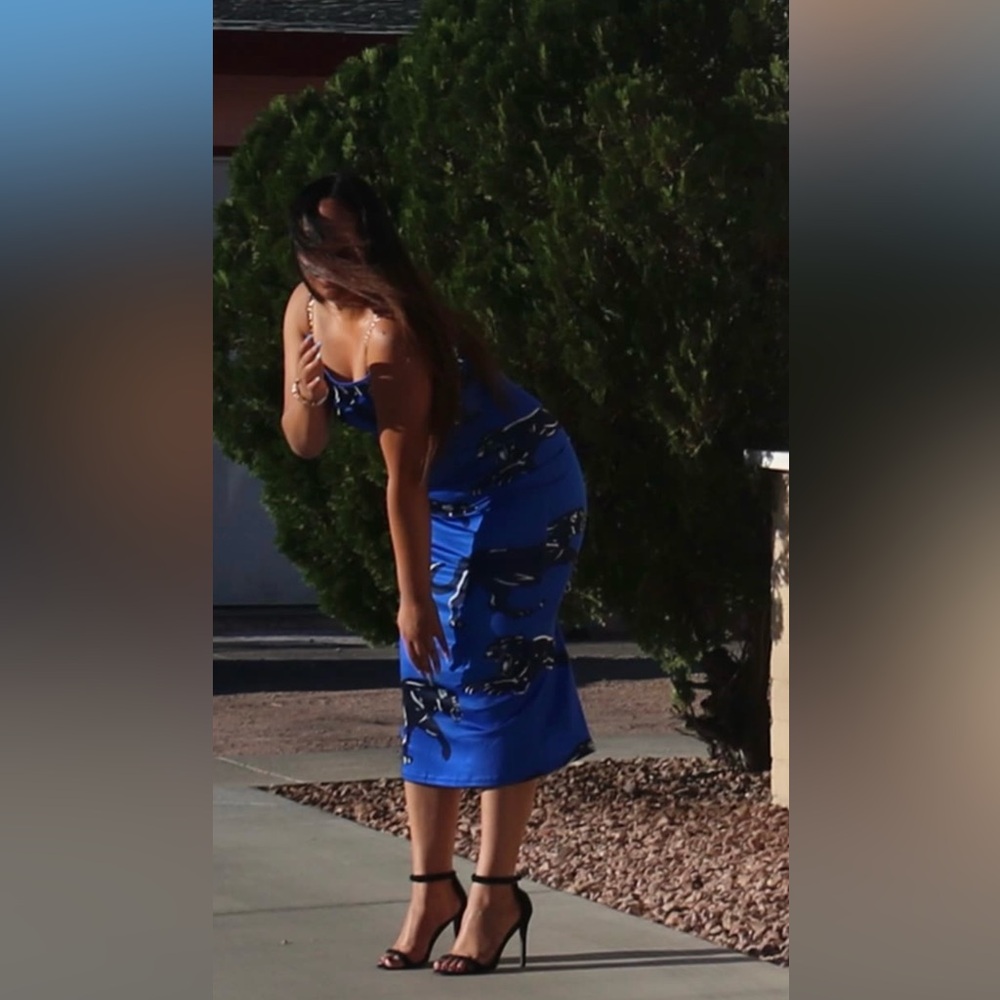 Elegant Blue Panther Print Dress